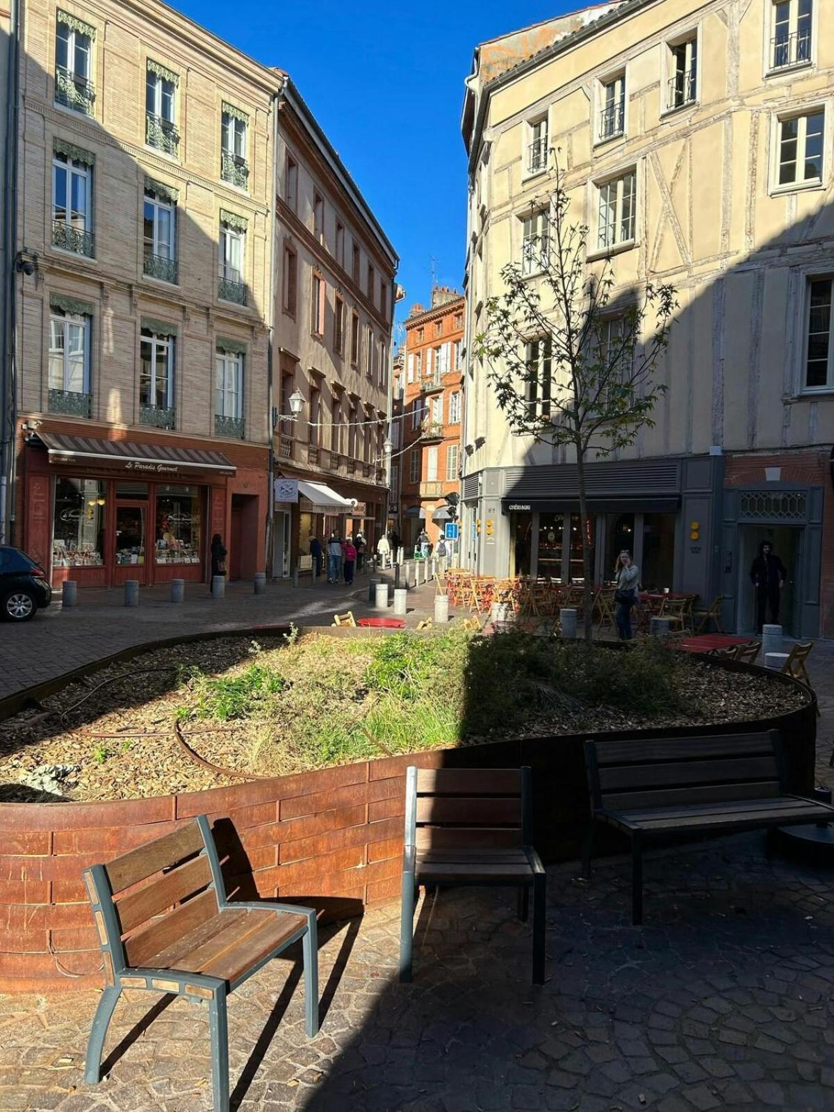 T1Bis-Cosy-Place Salengro-Metro Toulouse Exterior foto